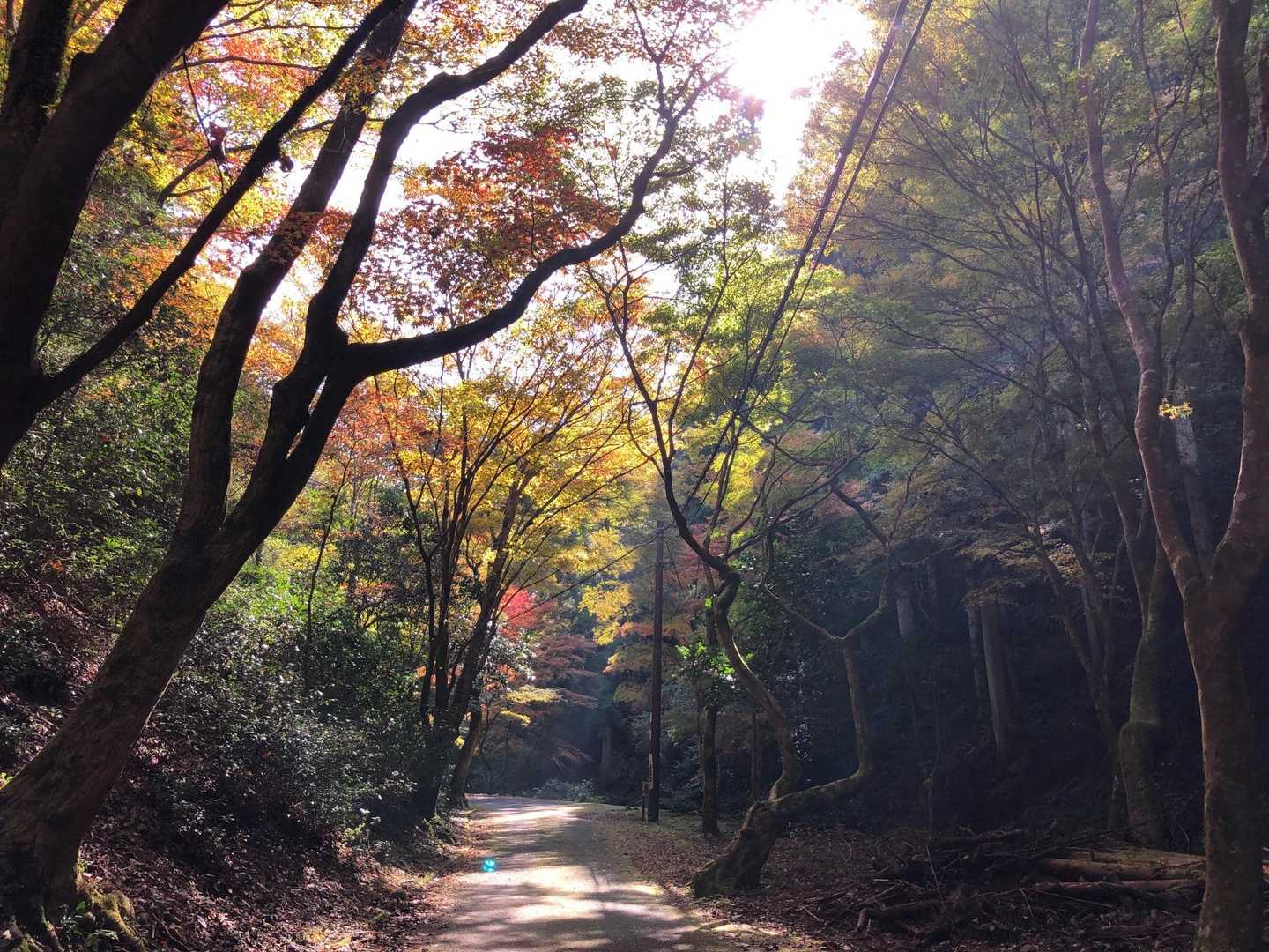 追分駅-音羽山-大谷駅 縦走コースの写真