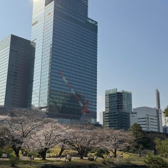 こんなに都心でYAMAPを起動させてるのが新鮮