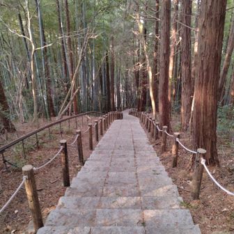 名残惜しいけど、また来るね。