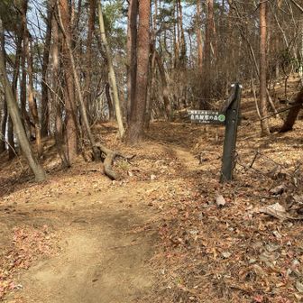 ここまでずっと登り基調で体力が削られてくる、、、