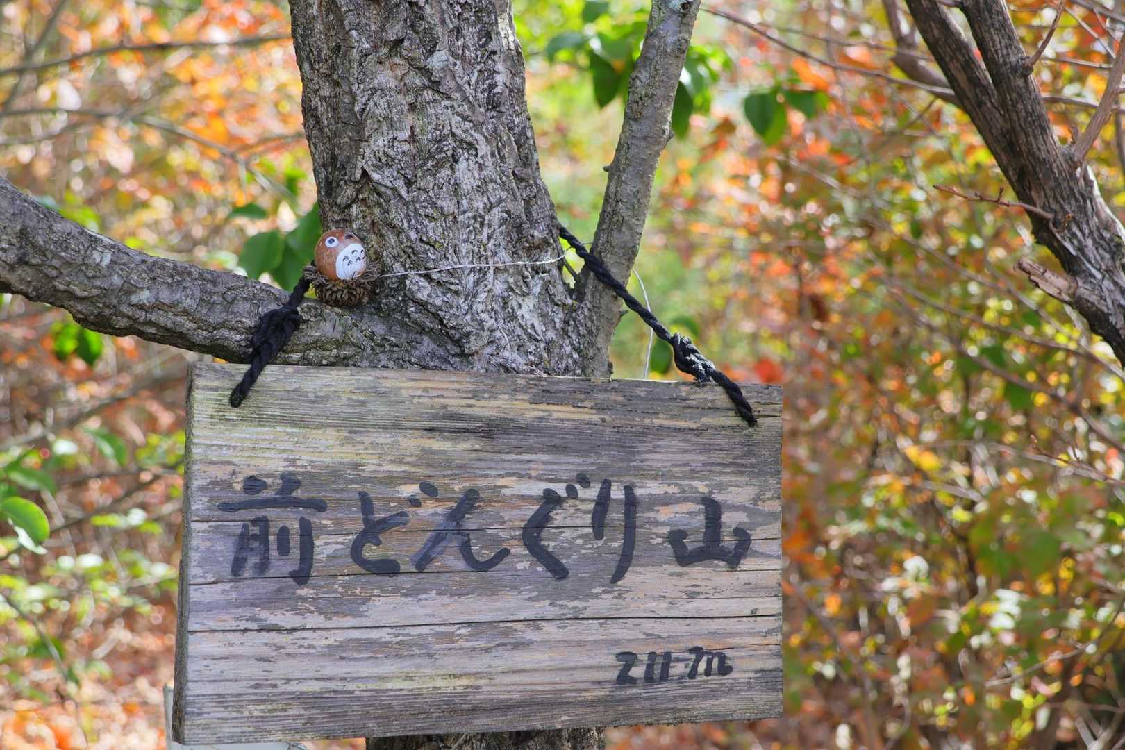 最後に前どんぐり