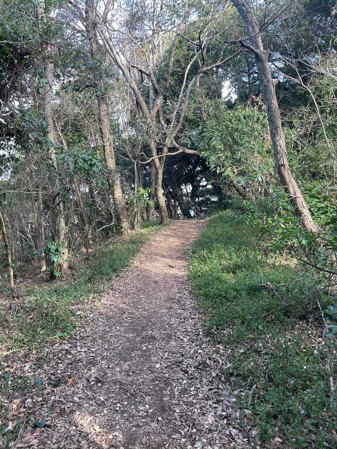 砲台山に向かいます