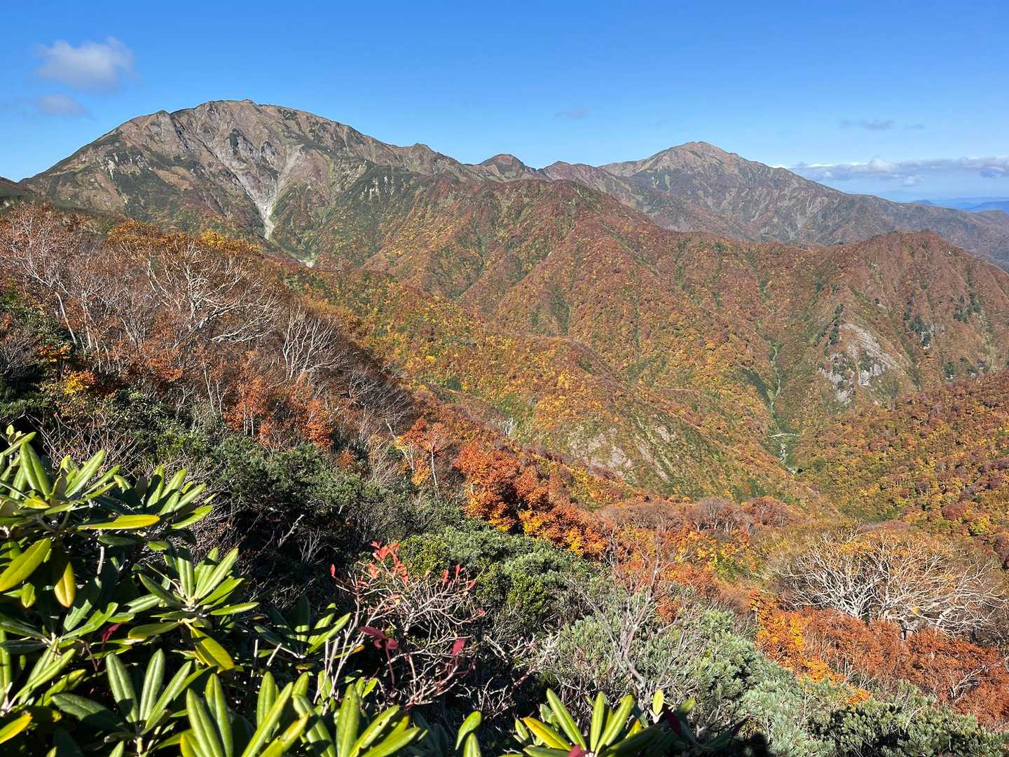 中の岳と越駒の紅葉


ヤバすぎませんか？？