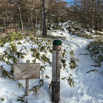 私達は間違えて左に行ってしまいました。すぐ隣なのに気づかず､､､。初めて来たので分かりませんが登りはこっちのが楽かも？