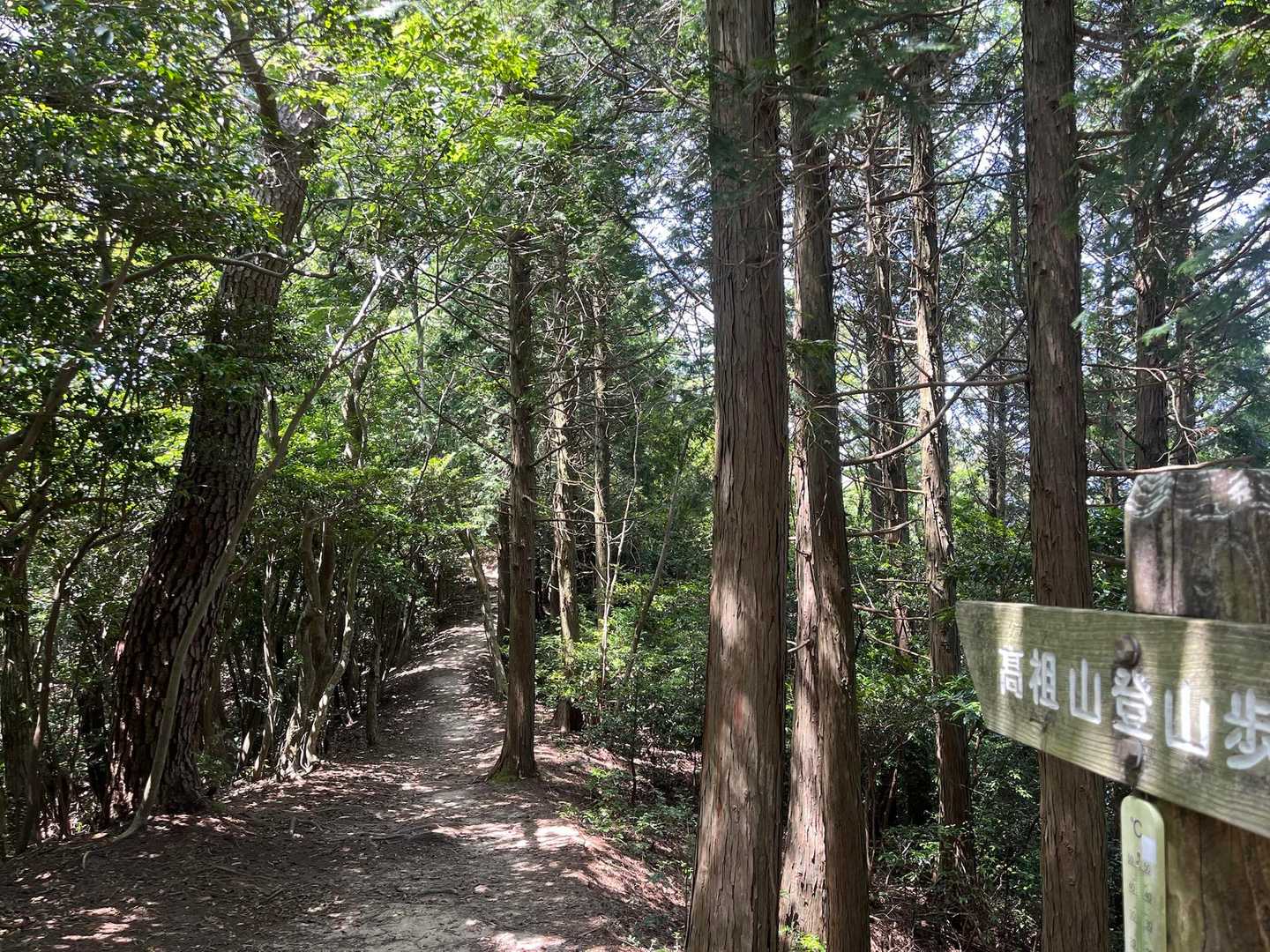 飯盛山-日向山-高地山 往復コースの写真
