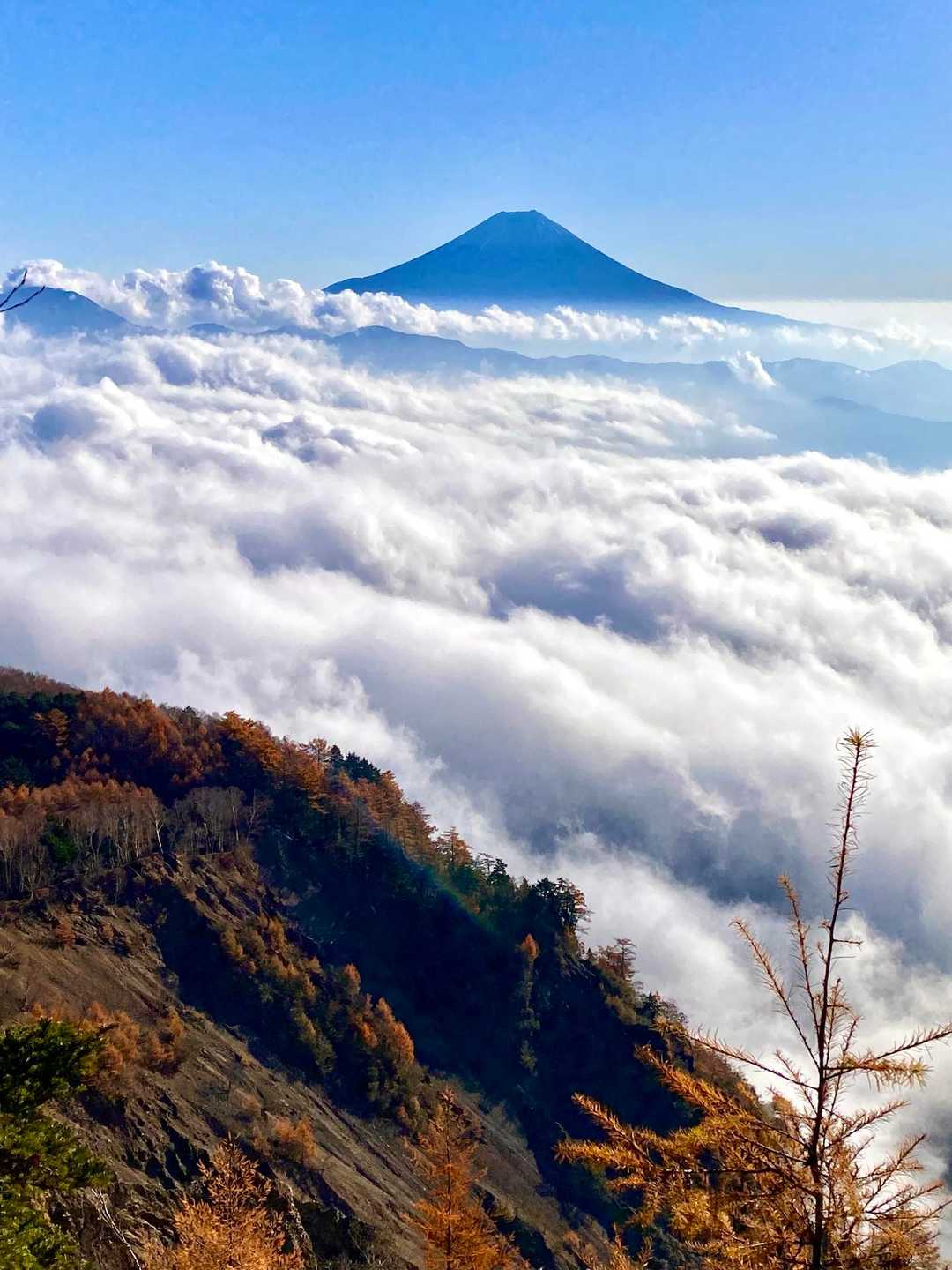 ずーっとこの景色を見ていたい！