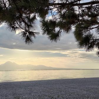 ﾀﾞｲﾅﾏｲﾄ四国