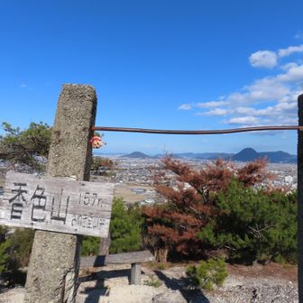 香色山
下りは走れるけれど、登りはどこもとんでもなくしんどい🥵