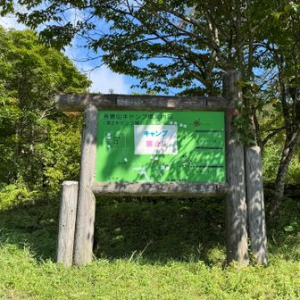 キャンプ禁止🈲