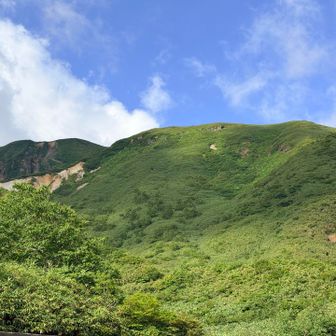 男女岳