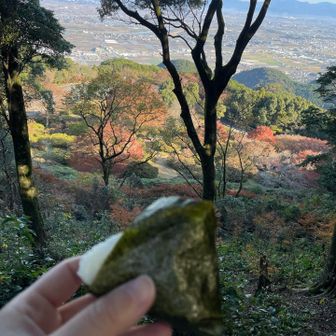そして
おにぎり頬張る😋朝ごはん。

海苔の巻き方よ…ww