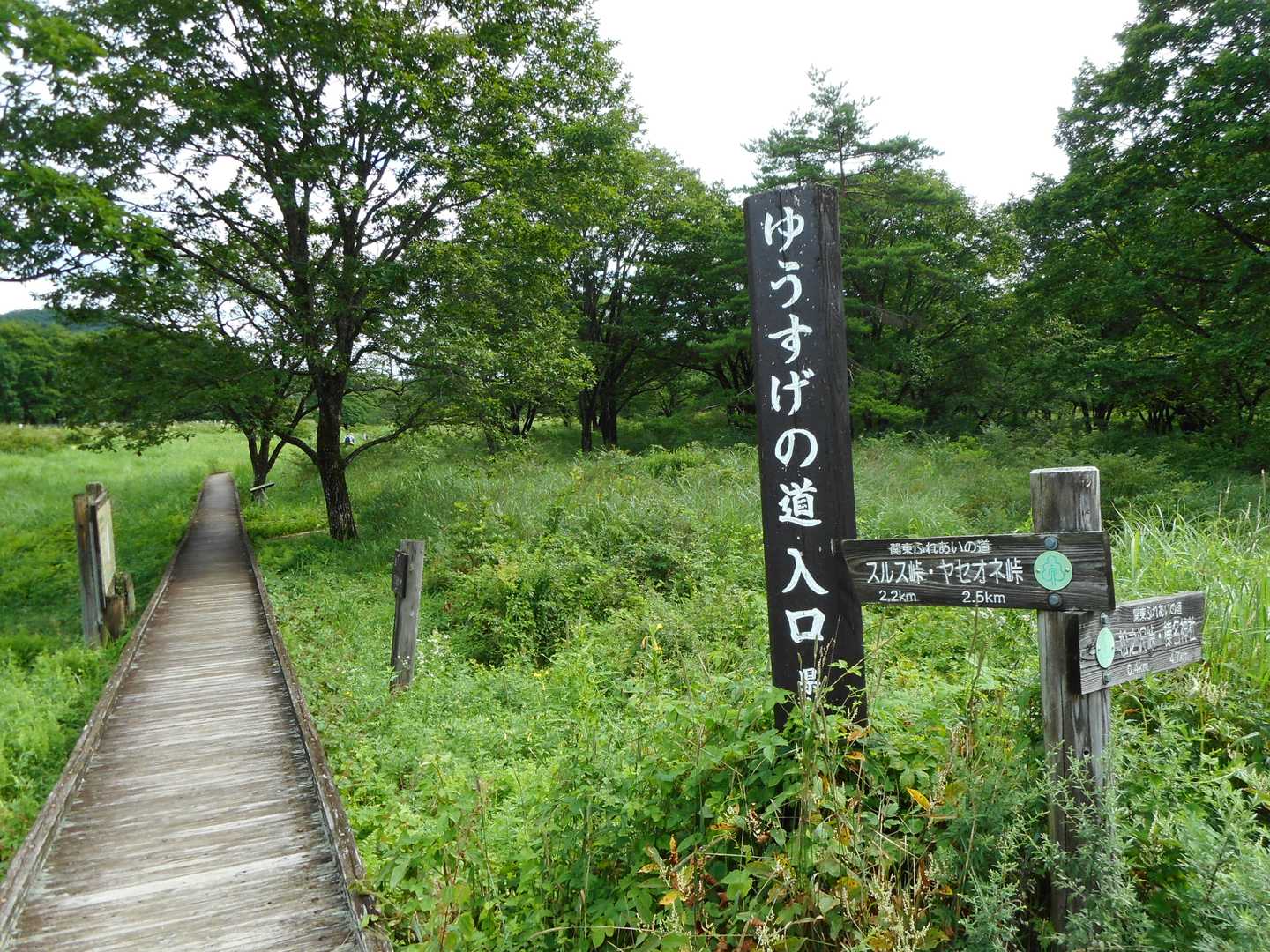 ゆうすげの道から入ります