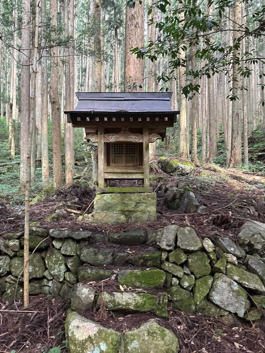 祠に安全祈願して