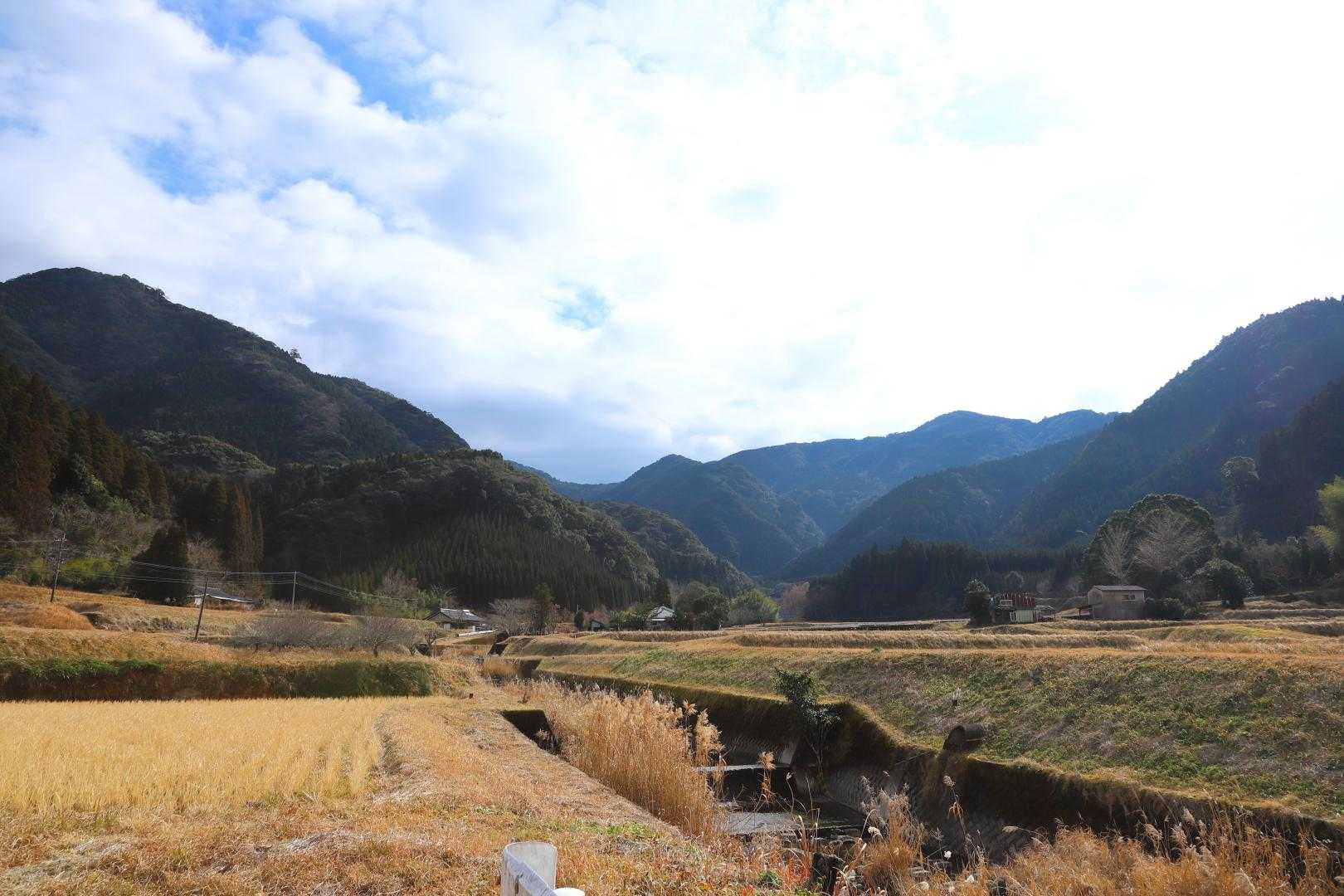 柳岳登山口-柳岳 往復コースの写真