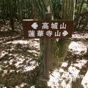 水越峠分岐の案内標識