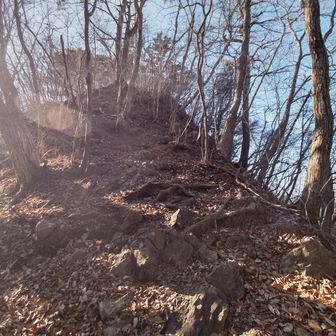 落葉の乗った急登🍁
滑りやすそうだったので慎重に進みます👌