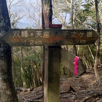 双峰・天座　と急に出てきて　あれ？となります
赤石ヶ岳と書いてくれてる方がわかりやすいと思いますが何か意味があるのかも知れません