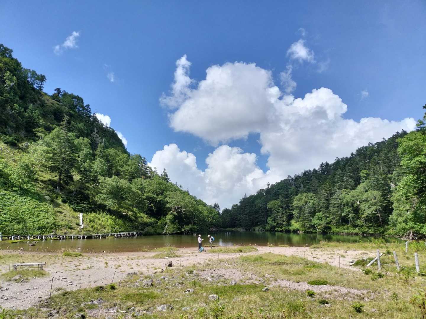 弥陀ヶ池、だいぶ疲れてきました。もう少しの頑張りだー💪