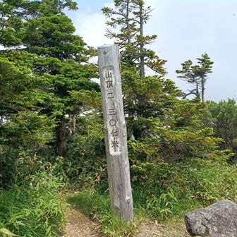 横手山（横手山神社）山頂