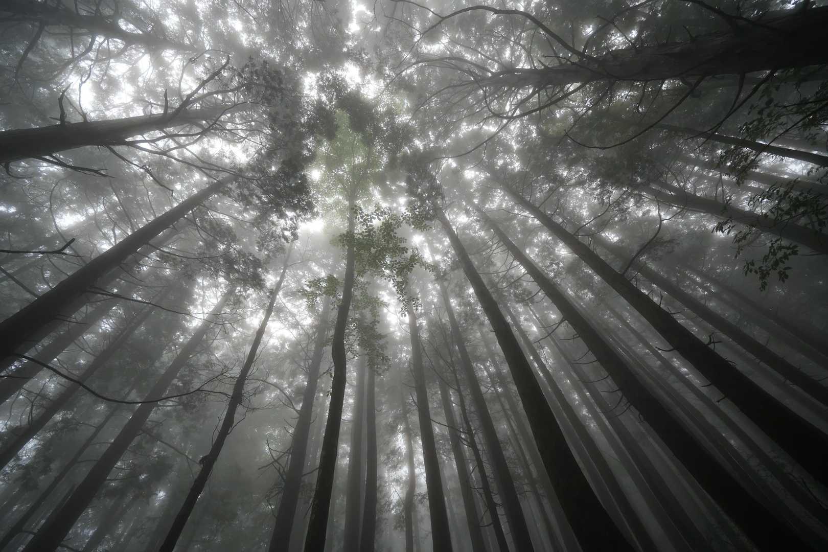 幻想的～