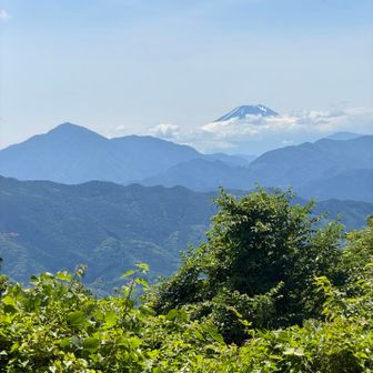 高尾山山頂までもう少し❗️って手前に富士山見えてるじゃん‼️左は雁ヶ腹摺山の形に似てるかな？