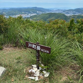 長崎市内方面の眺め。岩屋山、稲佐山、金比羅山、帆場岳なども確認できる。