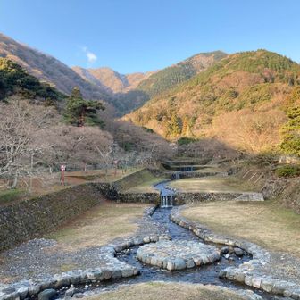 いい天気です。　あまり寒くないです。
うっすら雪が残っています。