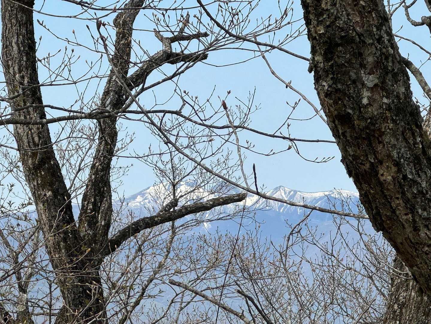 奥に蔵王連邦
