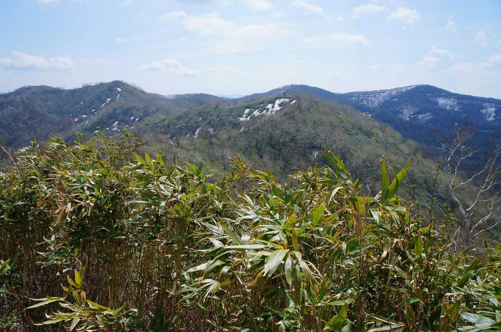 たぶんあれが無名山⛰️たぶん奥がイルムケップ山⛰️…たぶん…たぶんと山を眺めながら歩いてます🤔