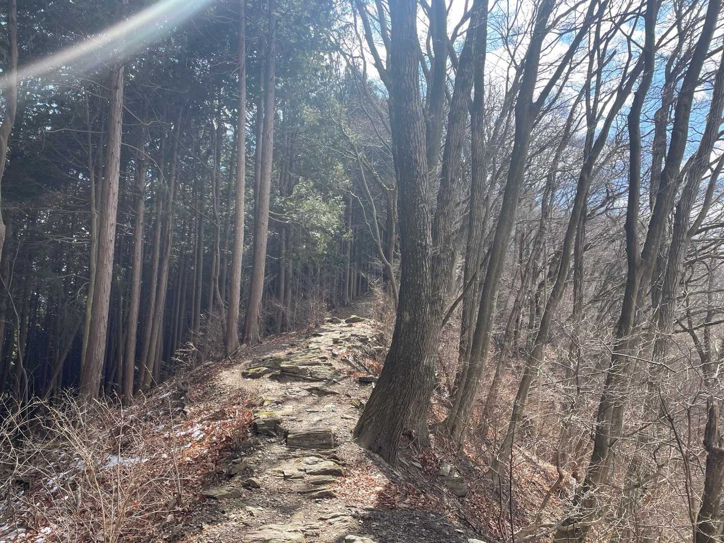 大霧山登山口-大霧山 往復コースの写真