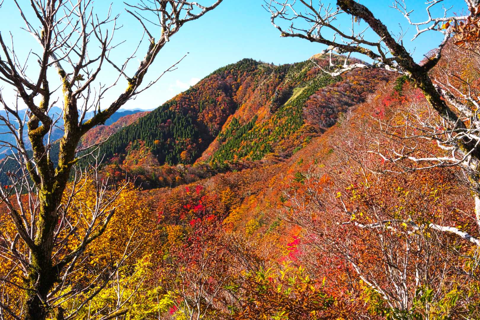 落合峠-落禿-前烏帽子山-寒峰 往復コースの写真