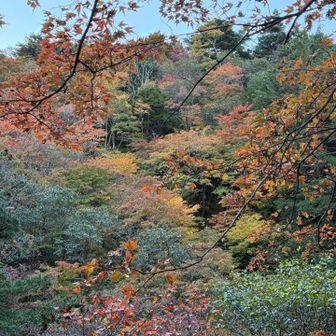 だんだんわくわくする色合いになってきた
