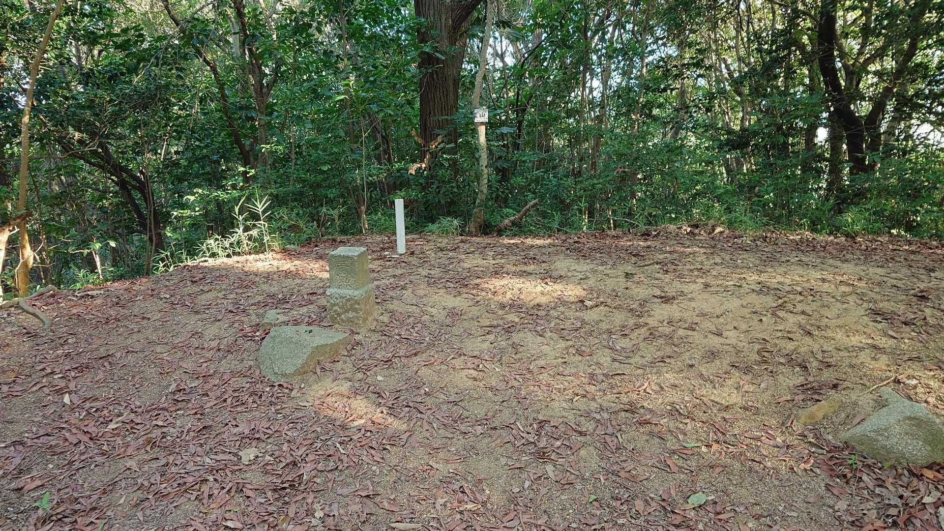 山頂