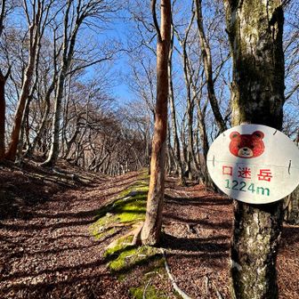 熊🐻のプレート
迷岳は大🐻三山と書かれていましたが😊
口迷岳は🐻のマークだけですね😅