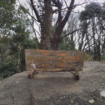 んー、読めない