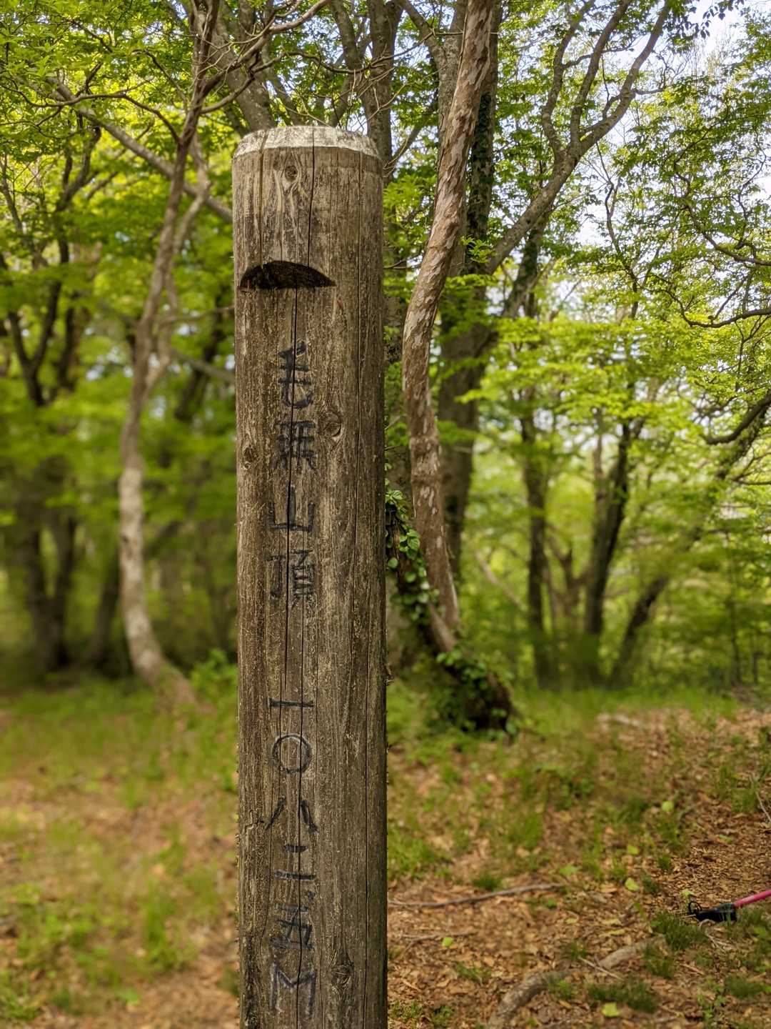登頂