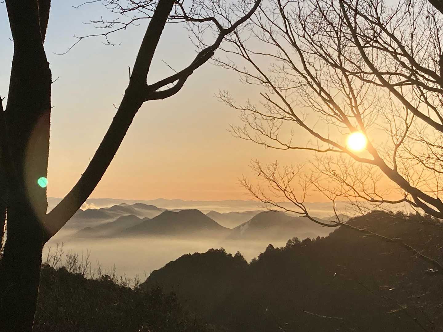 散策の森広場-白山展望広場-百々ヶ峰 往復コースの写真
