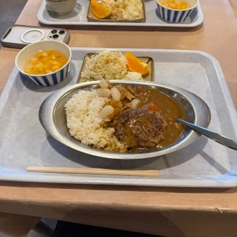 夕食はカレーでした。ハンバーグ入り！