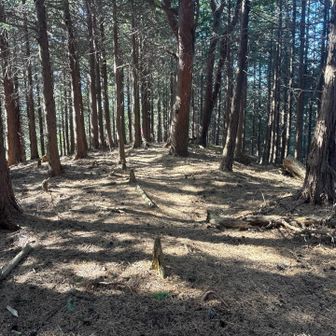 駅に向かう下りは比較的緩くてありがたかった〜🥹