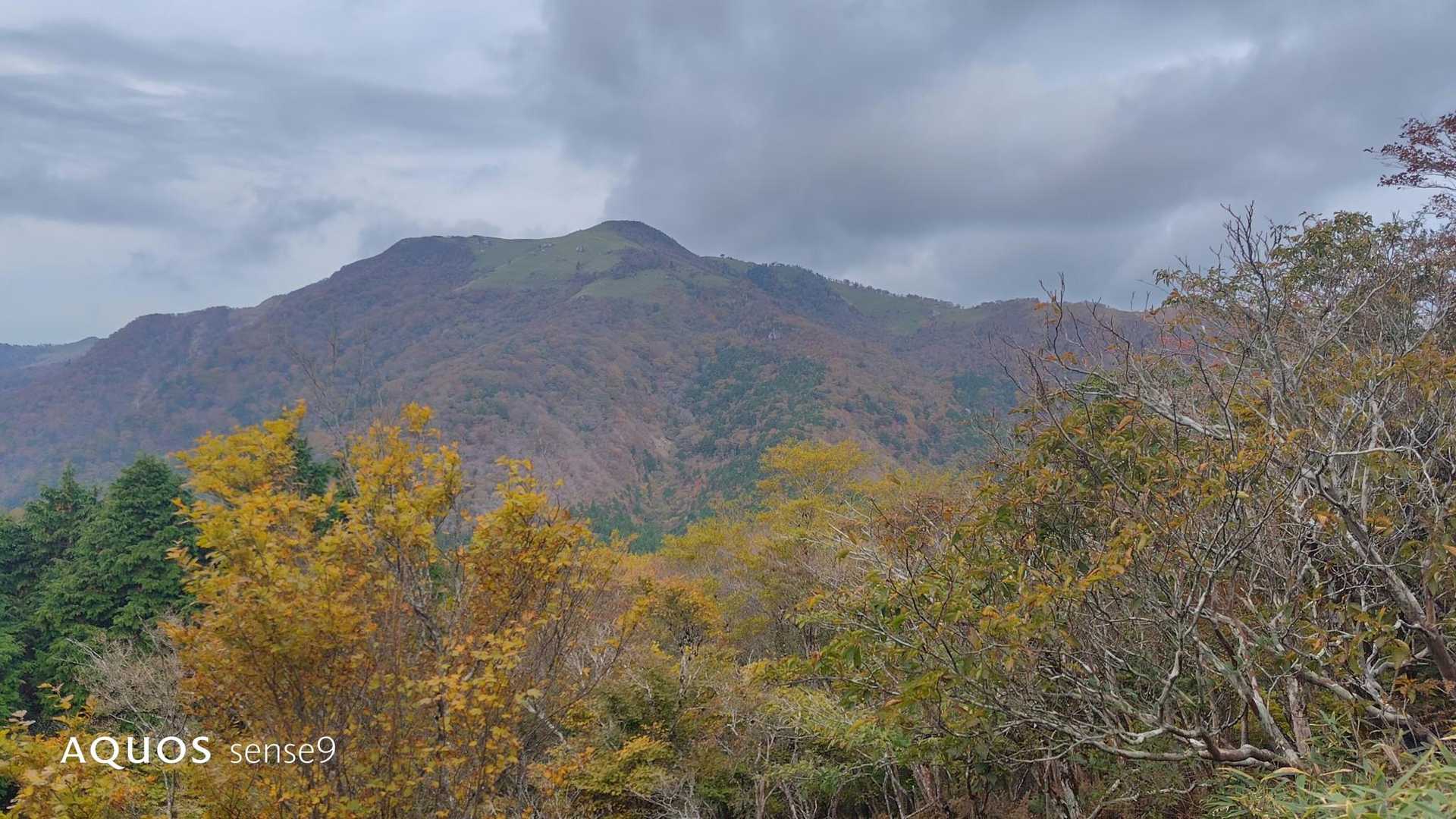 土佐矢筈🥰登山口から１時間近いけど、間違いなく急登😨