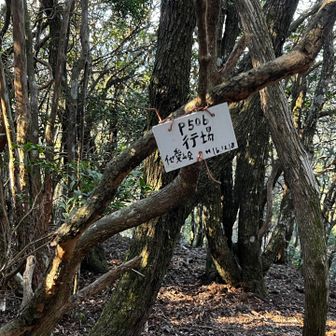 行場
プレートはこれだけ
巻道で行ってもピークはゲットできる
