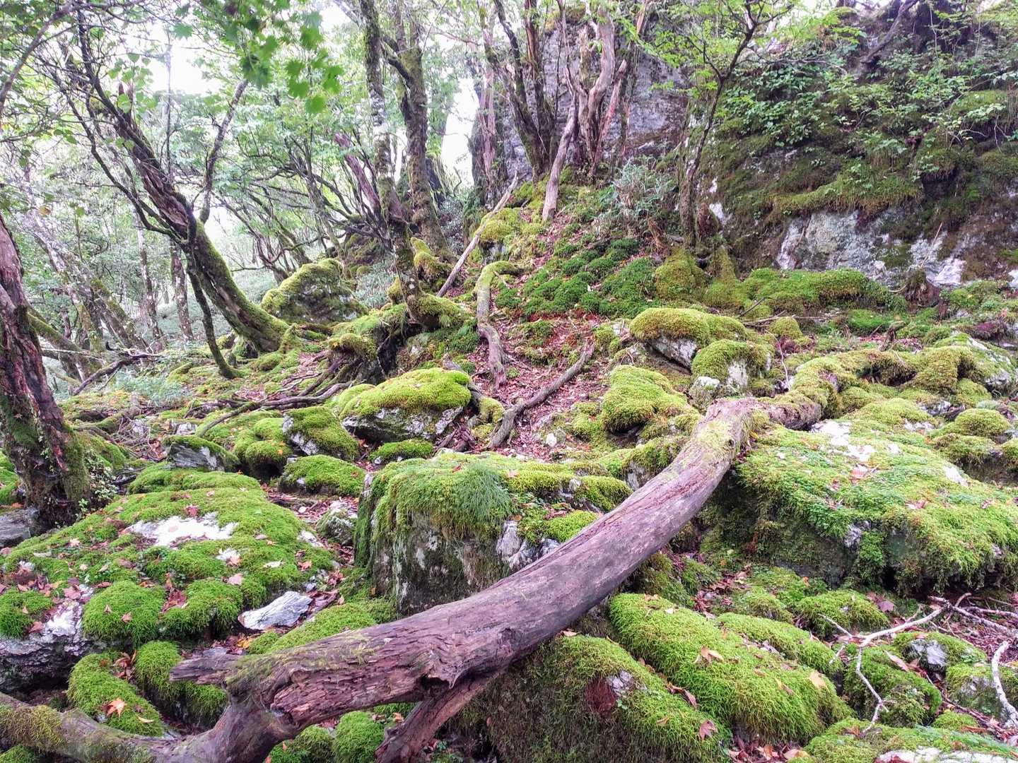 こんな雰囲気好き💚