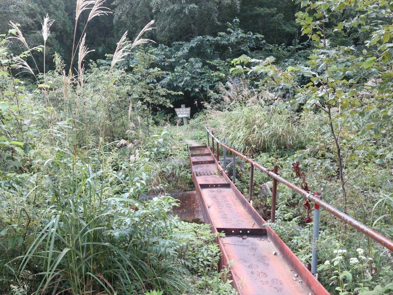 栃谷登山口-片折岳-奥金剛堂山 往復コースの写真