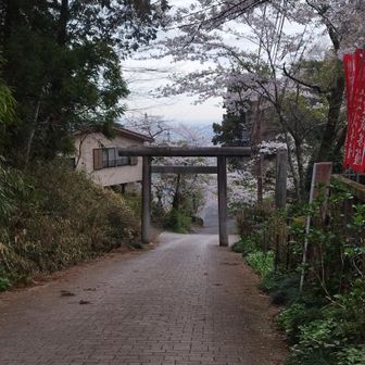 ありがとうございました