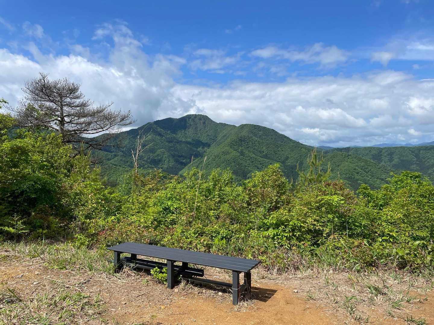 山頂です！
すみっこに日陰あるけど、ベンチは直射日光で暑い。