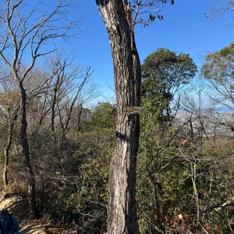 普見山到着です♪