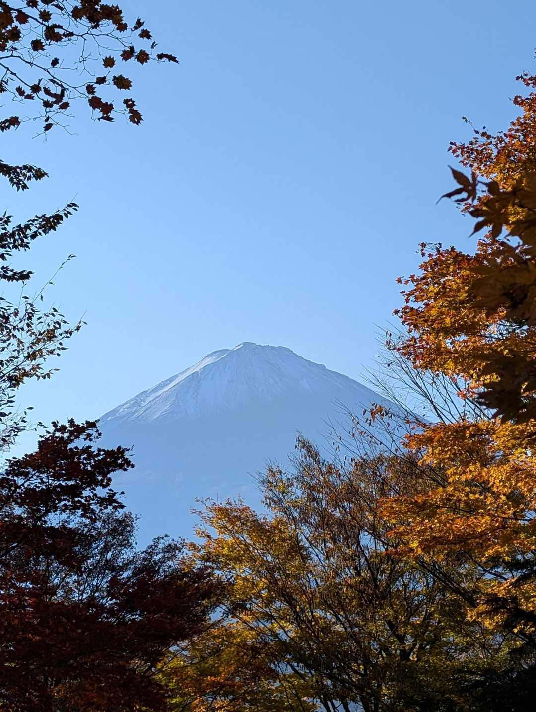 横に🗻見ながら😄