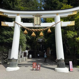 寳登山神社に立ち寄り⛩️