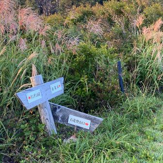 石花登山口分岐