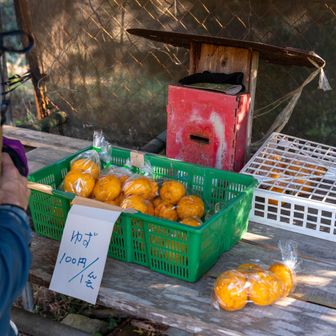 ゆずを買います